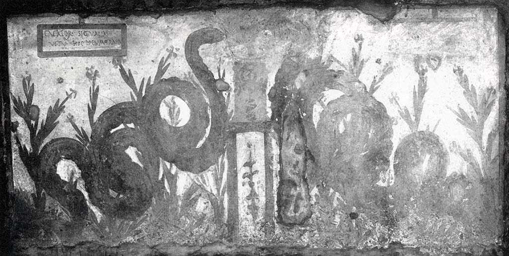 Painted street shrine on the wall at V.6.19. 
This shows two serpents moving through plants to an altar that had offerings on it.
See Fröhlich, T., 1991. Lararien und Fassadenbilder in den Vesuvstädten. Mainz: von Zabern, (p.319, 35, Taf 56,2)
According to Spano, "one of the usual representations of two enormous agatodemon snakes came to light, which on both sides approach a sumptuous altar, all included in a rectangular space with a white background, measuring 2.10m. X 1.00m. 
The picture, however, is here, more than elsewhere, notable for the inscription painted in the corner upper left, and which I reproduce here: 
CACATOR SIC VALEAS 
VT TV HOCLOCVM TRASIA
The image of snakes, tutelary geniuses of a place, served in general to defend that place against any kind of ugliness. 
What ugliness was feared in the place where we are, however, is explicitly stated by our inscription".
See Spano, in Notizie degli Scavi di Antichità, 1910, p. 262.