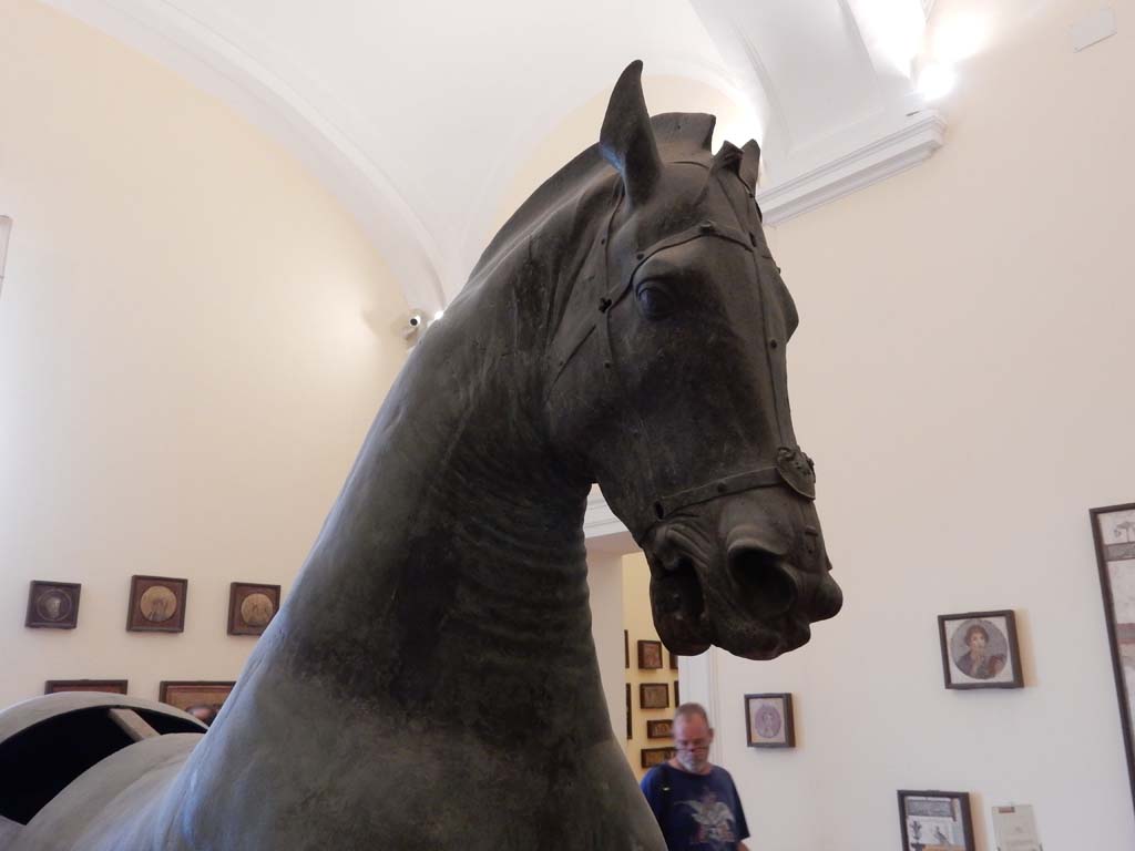 Arch of Caligula, Pompeii. June 2019. Detail of head of bronze horse. 
Now in Naples Archaeological Museum. Photo courtesy of Buzz Ferebee.