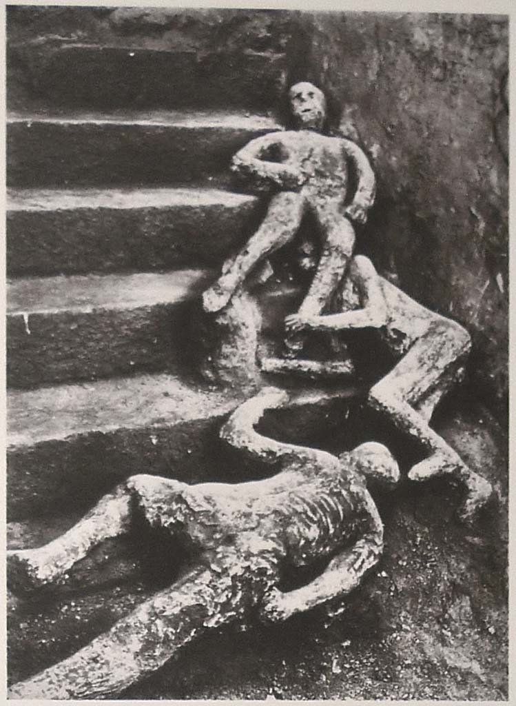 VII.16.17-22 Pompeii. 1961. Casts of three victims at the base of the stairs as shown on Boscoreale Antiquarium information board.
Victim 48 is at the top, Calco H is below and victim 49 is at the bottom.
Photo courtesy of Michael Binns.
According to Carlo Giordano, the cast was the most successful and dramatic of the three found on the staircase of the house.
The cast was stolen from the Casa di Marco Fabio Rufo on the night between 28 and 29 August 1966.
If the cast is to be identified with cast 84, after 1966 it had to have been found and taken to the Casa dei Quattro Stili.
It is possible that this cast can be identified with n. 84, which represents only a surviving part. 
The similarity with Cast H is found in the poor anatomical accuracy (like nos. 48-49), in the posture of legs and arms bent and extended forward, and could be deduced from the poor outcome of the face of cast no. 84, in particular the unformed left half and which, in this case, would have had the calf of victim no. 48 resting on it.
See Osanna, N., Capurso, A., e Masseroli, S. M., 2021. I Calchi di Pompei da Giuseppe Fiorelli ad oggi: Studi e Ricerche del PAP 46, p. 556-7, Calco H.