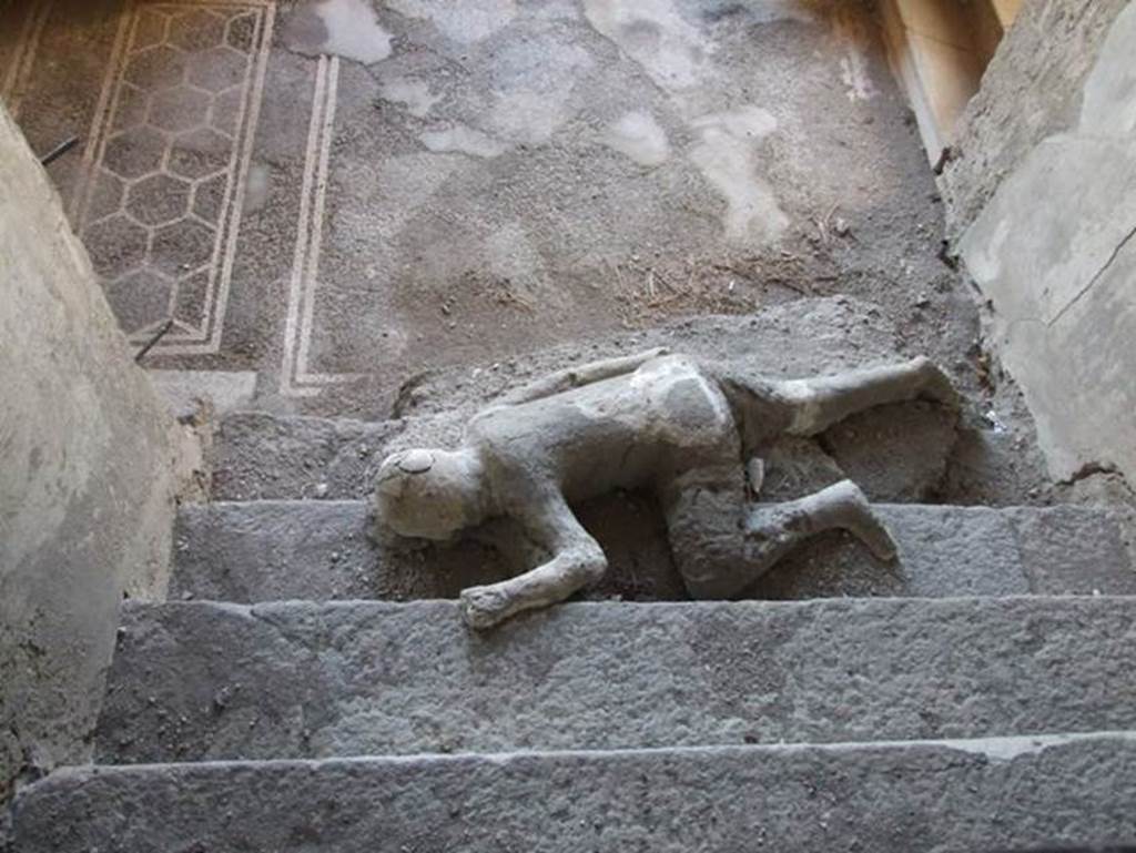 Victim 49. VII.16.17-22 Pompeii. December 2007. Looking down the stairs towards a plaster cast of body lying at foot of staircase.
Four people met their death in this house, three of them died huddled together on this staircase.
They were discovered in November 1961. It was possible to make casts of the group of three.
A copy of the plaster cast of the lowest of the three bodies remains where it was discovered. 
The fourth skeleton was lying on the landing at the bottom of the stairs but only a photo remains of this skeleton.