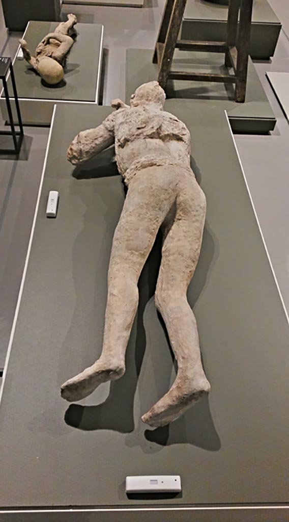 Victim 10. December 2019. The young girl from Strada Stabiana.
On display in exhibition “Pompei e Santorini” in Rome, 2019. Photo courtesy of Giuseppe Ciaramella.