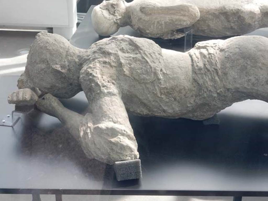Pompeii. May 2018. Victim number 10. Detail of head and upper part of plaster-casts from exhibition kiosk near Amphitheatre entrance. 
Courtesy of Buzz Ferebee.