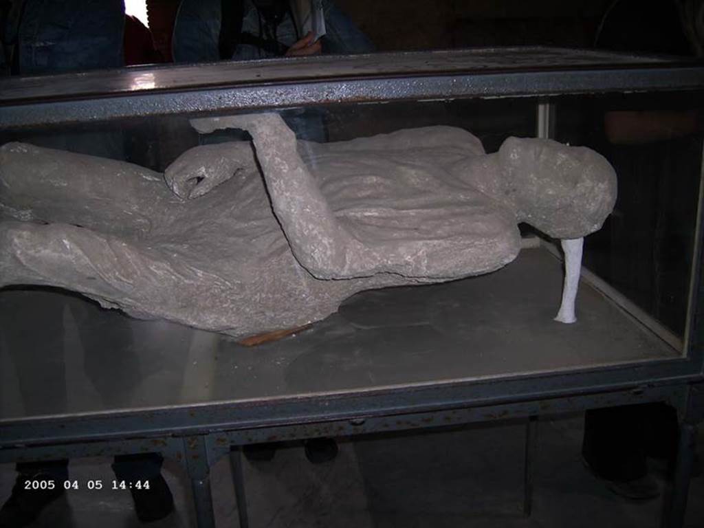VII.1.8 Pompeii. April 2005. Plaster cast of victim 15, on display in men’s changing room 2. 
Photo courtesy of Klaus Heese.