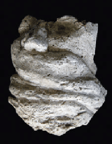 Victim 18. Boscoreale, Villa della Pisanella. 2015.
Remains of head with folds of a probable coat over the mouth and chin.
The torso was destroyed in the bombing of 1943 and the woman's head damaged and only partly recovered.
See Garcia y Garcia, L., 2006. Danni di guerra a Pompei. Rome: L’Erma di Bretschneider, p. 198, fig. 463.