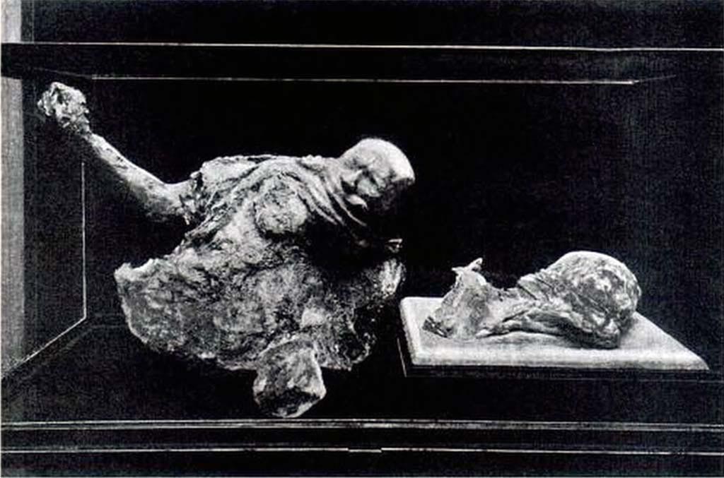 Victim 18 on left and victim 16 on right. Boscoreale, Villa della Pisanella. 1923. Torcularium. 
Body cast of head and abdomen of victim 18 and the head of a woman, victim 16, in Pompeii Antiquarium. 
See Sogliano, A., 1923. Guida di Pompei: 3rd ed. Milano, p. 5.
The torso was destroyed in the bombing of 1943 and the woman's head damaged and only partly recovered.
See Garcia y Garcia, L., 2006. Danni di guerra a Pompei. Rome: L’Erma di Bretschneider, p. 198, fig. 463.