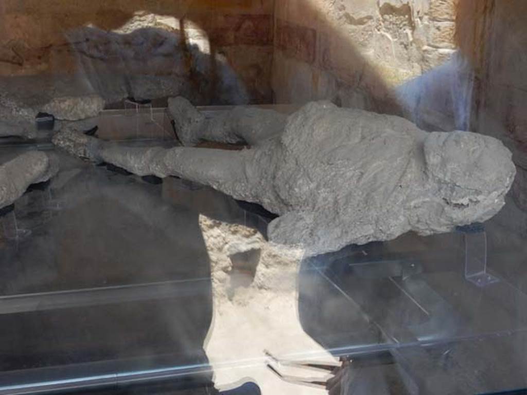 VII.1.47 Pompeii. May 2017. Victim 1.
Plaster cast of large, strong male on display in triclinium 8 but found in the Vicolo degli Scheletri. 
Photo courtesy of Buzz Ferebee.