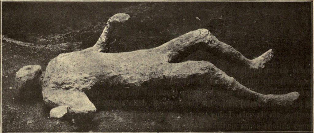 I.6.2 Pompeii. May 1915. Victim number 24. Body cast made in the vicolo between I.6 and I.10. 
See Notizie degli Scavi di Antichità, 1915, p. 288, fig. 4.