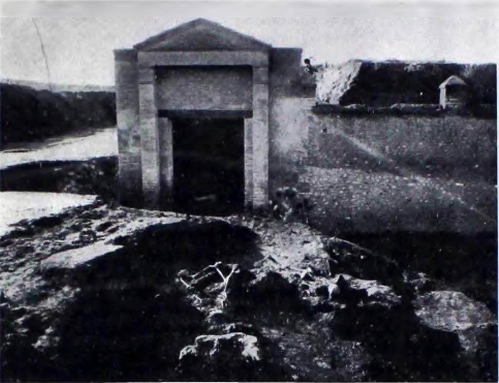 II.7.1 Pompeii. Palaestra. December 1936. Hypothesis 1. Group of 14 skeletons. The cast is at the bottom centre of the photo.
Secondo NdS; Poco al di fuori della prima porta del lato orientale della Palestra, quasi a pied della scarpata dell’aggere, si mise in luce (dicembre 1936) un gruppo di 14 scheletri dei quali 6 caduti uno sull’altro in uno spazio assai ristretto di terreno, in un viluppo confuso di ossa, e i rimanenti un poco discosti più a nord, giacenti sul primo strato di cenere, quasi tutti caduti bocconi sul terreno (fig. 28); di uno solo di essi (un giovanetto) potè eseguirsi un calco parziale del tronco, trovandosi gli arti inferiori ancora infossati nel lapillo. La presenza di individui adulti e giovanili, e la tragica sovrapposizione dei corpi, fa supporre che ci troviamo innanzi non a gruppi di fuggiaschi fortuitamente riuniti dal terrore della comune sciagura, ma di persone più intimamente strette da vincoli di parentela e probabilmente di due distinti gruppi di famiglie fuggite assieme da abitazioni contigue.

According to NdS; Just outside the first door on the eastern side of the Palestra, almost at the foot of the escarpment of the embankment, a group of 14 skeletons came to light (December 1936), 6 of which had fallen one on top of the other in a very small area of ground, in a confused tangle of bones, and the remainder a little further to the north, lying on the first layer of ash, almost all of which had fallen flat on the ground (fig. 28). Of only one of them (a juvenile) was it possible to make a partial cast of the trunk, as its lower limbs were still buried in the lapillus. The presence of adult and juvenile individuals, and the tragic superimposition of the bodies, suggests that we were facing not groups of fugitives fortuitously reunited by the terror of the common calamity, but of people more intimately close by ties of kinship and probably of two distinct groups of families who fled together from neighbouring homes.

Vedi/See Notizie degli Scavi di Antichità, 1939, p. 216, fig. 28.
