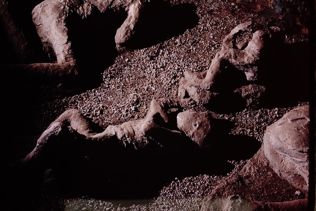 I.21.6 Pompeii. 1974. Detail of plaster cast of victim 37. Photo by Stanley A. Jashemski.   
Source: The Wilhelmina and Stanley A. Jashemski archive in the University of Maryland Library, Special Collections (See collection page) and made available under the Creative Commons Attribution-Non Commercial License v.4. See Licence and use details.
J74f0224