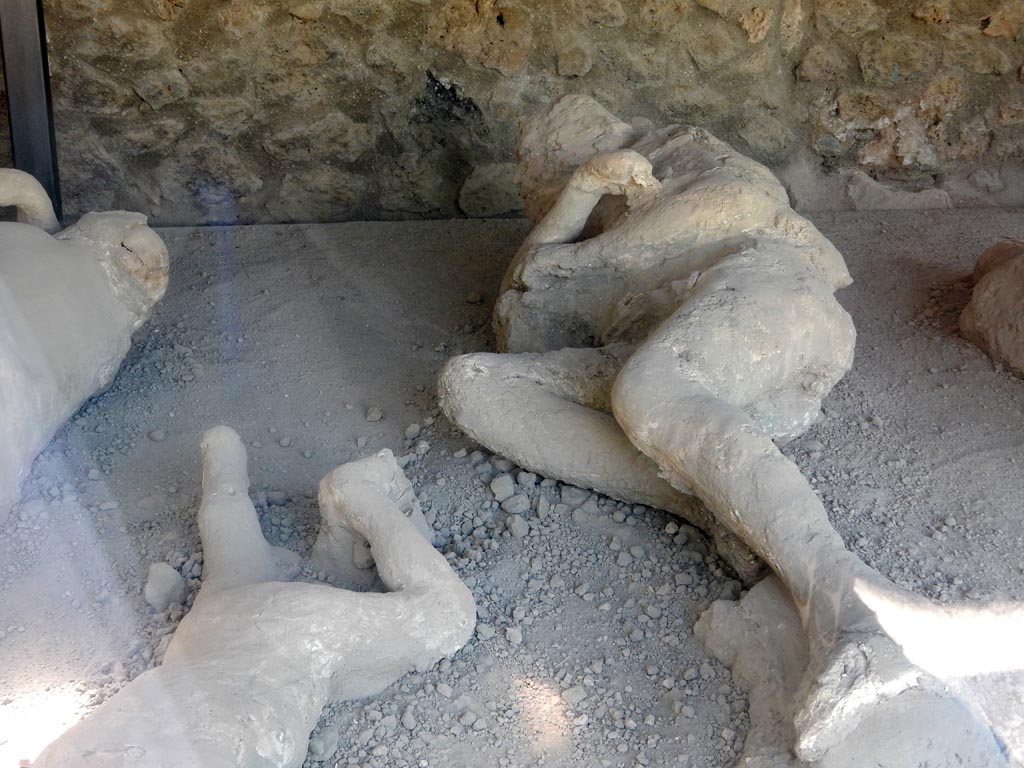 I.21.6 Pompeii. May 2016. Detail of plaster casts of the impression of bodies. Victim 39. Photo courtesy of Buzz Ferebee.
Victim 39 was male over 20 years of age.
Small traces of drapery can be seen on the chin, left shoulder and abdomen.
Victim 39 was found between the 17th and 22nd of April at about 17.9m from the southern wall and approximately 1m from the eastern wall.
The body was found next to victim 35 but oriented in the opposite way.
Near his feet were found victims 36 and 37.
See Osanna, N., Capurso, A., e Masseroli, S. M., 2021. I Calchi di Pompei da Giuseppe Fiorelli ad oggi: Studi e Ricerche del PAP 46, p. 413-415, Calco n. 39.