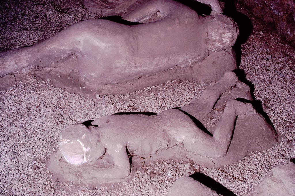 I.21.6 Pompeii. 1974. Detail of a plaster cast of impression of a bodies. Victims 40, front and victim 41, rear. Photo by Stanley A. Jashemski.   
Source: The Wilhelmina and Stanley A. Jashemski archive in the University of Maryland Library, Special Collections (See collection page) and made available under the Creative Commons Attribution-Non Commercial License v.4. See Licence and use details.
J74f0233