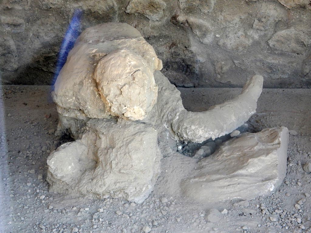 I.21.6 Pompeii. May 2016. Detail of plaster cast of the impression of a body. Victim 42. Photo courtesy of Buzz Ferebee.
Victim 42 is thought to be a female, aged 20years or over.
There are traces of drapery on the abdomen.
The body was found on 27th April 1961, located about 5m, towards the north-east, from the group with victim 39. 
Maiuri had originally imagined it was the mother of the group containing victims 40 and 41. It is now identified as probably a female.
See Osanna, N., Capurso, A., e Masseroli, S. M., 2021. I Calchi di Pompei da Giuseppe Fiorelli ad oggi: Studi e Ricerche del PAP 46, p. 420-1, Calco n. 42.