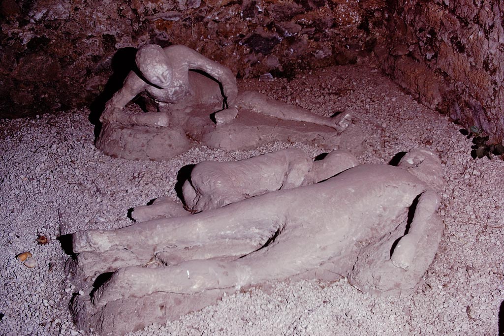 I.21.6 Pompeii. 1974. Detail of plaster casts of impressions of three bodies. Left to right, Victim 43, victim 44 and victim 45. Photo by Stanley A. Jashemski.   
Source: The Wilhelmina and Stanley A. Jashemski archive in the University of Maryland Library, Special Collections (See collection page) and made available under the Creative Commons Attribution-Non-Commercial License v.4. See Licence and use details.
J74f0216