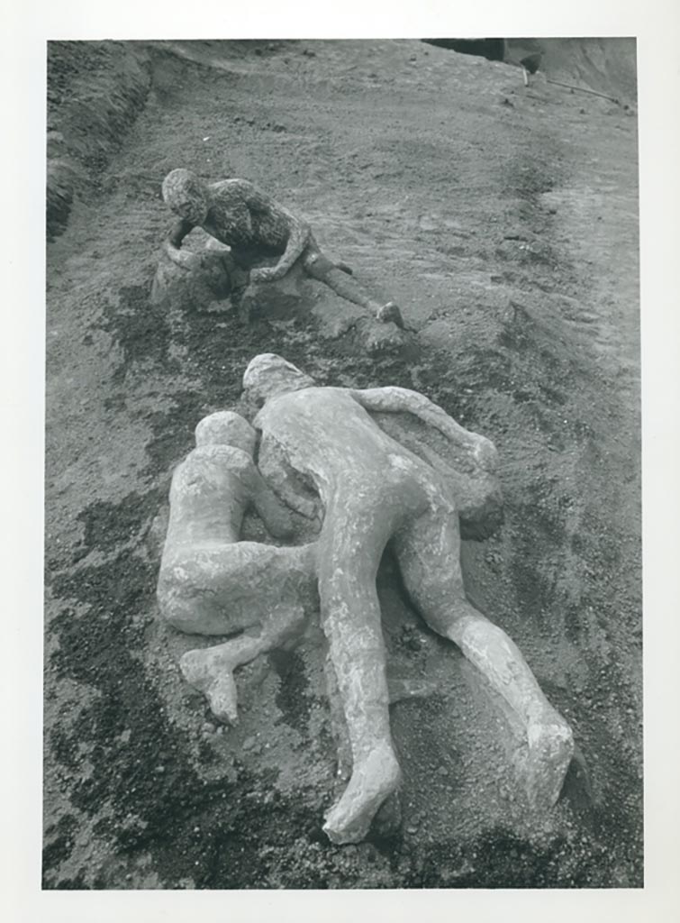 I.21.6 Pompeii. 1961. Press photo. Front left to right, Victim 43, victim 44 and at rear victim 45. 
Photo courtesy of Rick Bauer. 
The rear of the photo has the title “Victims of the eruption, 69AD”.
(Note, wrong date).