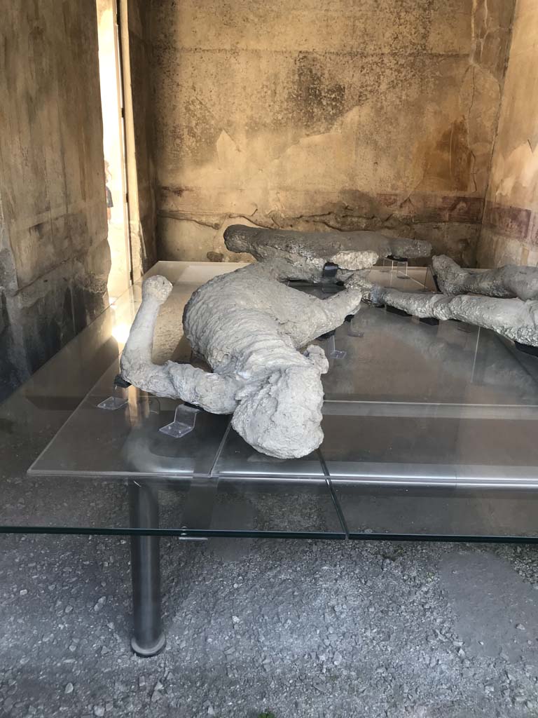 VII.1.47 Pompeii. April 2019. Room 8, looking across plaster-cast of victim 4, towards south-west corner, and west wall. 
Photo courtesy of Rick Bauer.