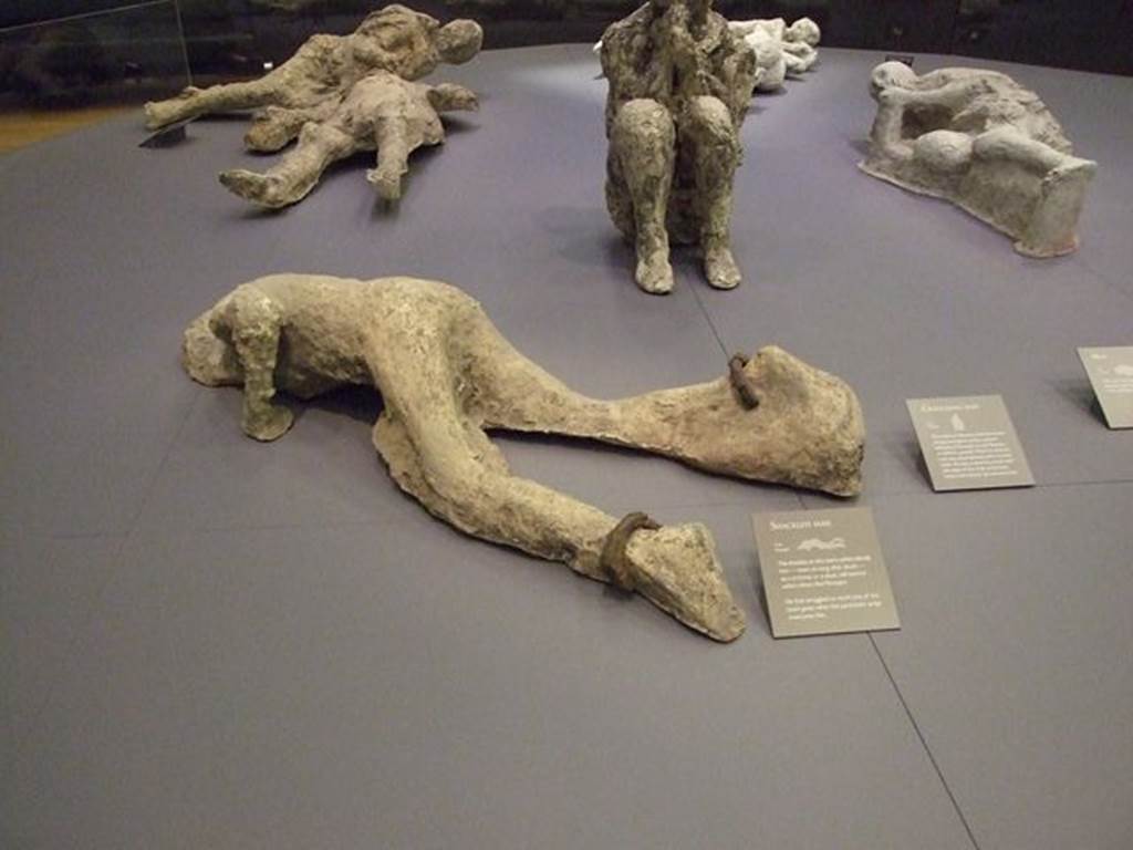 Victim 81. The Shackled Man. Porta Capua 2002. 
The exhibition card says:
The shackles on this man's ankles identify him – even so long after death – as a criminal or a slave, left behind when others fled Pompeii.
He had struggled to reach one of the town gates when the pyroclastic surge overtook him.
Photographed at “A Day in Pompeii” exhibition at Melbourne Museum. September 2009.