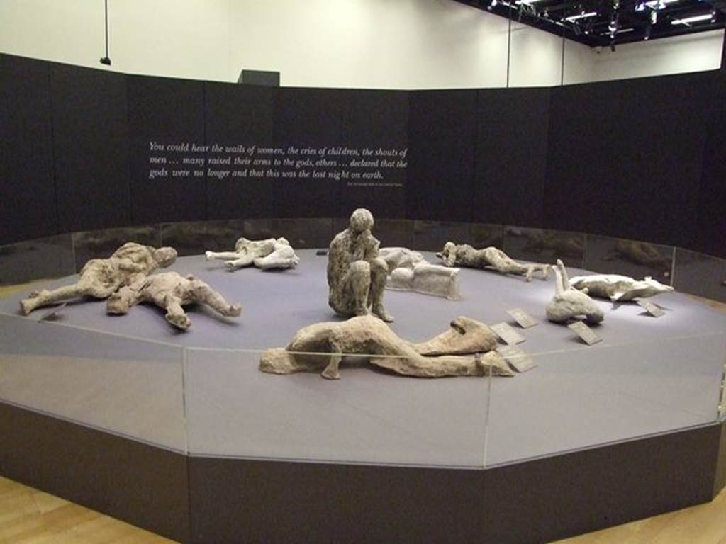 Victim 81. Porta Capua 2002. The Shackled Man in a group of casts of other victims. 
Photographed at “A Day in Pompeii” exhibition at Melbourne Museum.  September 2009.