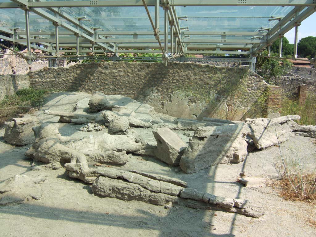 I.22.1 Pompeii. September 2005. Plaster casts of a group of fleeing people, discovered in 1989. 
These were found on the lapilli behind the entrance.
According to the report they were found in the corner north-west of the insula in August 1989.
There were ten corpses, including 2 children, 1 girl and 1 woman.
See Luongo, G et al. (2003): Journal of Volcanology and Geothermal Research 126, (p.169-200)