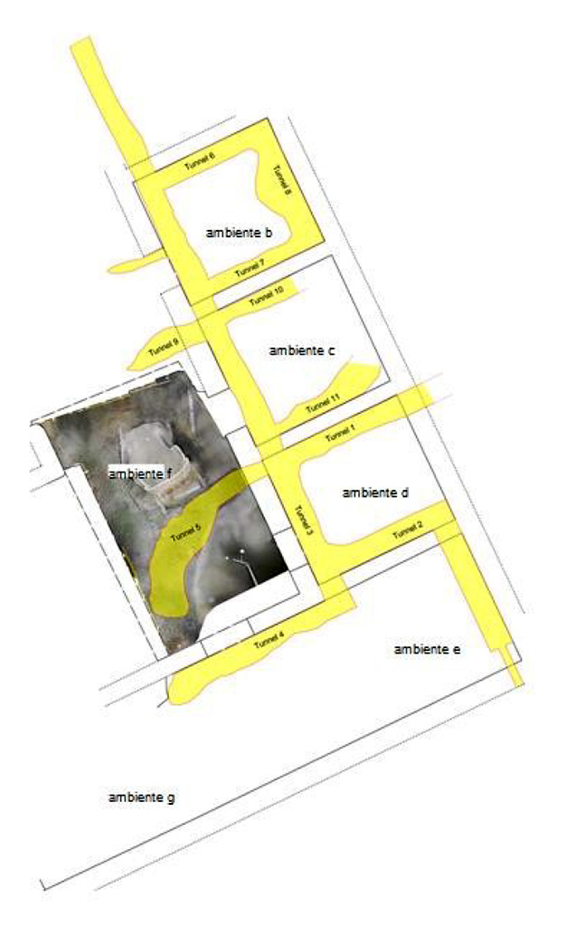 Cività Giuliana. February 2021. Plan of rooms and tunnels. Among other things, it has been established that the chariot which has now been unearthed had miraculously escaped the looting of grave robbers, despite being literally touched by the tunnels dug by the perpetrators at a depth of over 5 metres.
Room 'd' is characterised on the western side by the presence of a door and a small, splayed window, of which the wooden jack arch is still preserved; on the eastern side there is but one quadrangular window, an opening through which pyroclastic flow deposits (the surge, i.e. consolidated ash) poured from the final phases of the Plinian eruption.
The southern wall houses a quadrangular niche - a small lararium, bordered by a plaster frame, within which a quadrangular marble base was discovered. Underneath was a censer cup, two pots and a lamp, resting on a wooden shelf of which it was possible to make a plaster cast.
The uniqueness of the burial of the room, being almost entirely occupied by the pyroclastic flow {surge}, has allowed us to create plaster casts of two items of furniture, one is certainly a bed and the other likely a similar specimen, and to recover traces of a mat or piece of fabric positioned over the rope bed base.
On the floor formed of a simple layer of compacted earth, various finds were made, including: three amphorae (one damaged by the illegal excavators) for containing wine and oil; a pot; a long iron saw, and animal bone fragments.
Room 'e' turned out to be a stable. In this room, too, the presence of pyroclastic flow has allowed us to produce plaster casts. These were of a long wooden trough, positioned along the southern wall, and two equids, found in front of the trough, collapsed on the ground during the eruption. A third horse was found but it was not possible to make a plaster cast.
One of the animals, untouched by the actions of the illegal excavators, was recovered intact, with the complete and connected skeletal structure, harnessed with bit and iron bridle, Between the ears, on the occipital bone, bronze decorative elements which were probably applied to leather elements (since disappeared) were found.
In the second phase of excavation the bodies of two human victims were also found and casts made. The bodies were found in a side room of the cryptoporticus, in the form of a passageway below the villa which led to the upper floor.
In the third phase in room "f" a four wheel processional chariot was found and casts made that preserved some of the parts.
Cività Giuliana. Febbraio 2021. Pianta di stanze e gallerie. E’ stato accertato, tra l’altro, che proprio il carro portato ora alla luce è miracolosamente scampato all’azione di saccheggio dei tombaroli, essendo stato letteralmente sfiorato da due cunicoli scavati da questi ultimi ad oltre 5 metri di profondità.
L'ambiente 'd' è caratterizzato sul lato ovest dalla presenza di una porta e di una piccola finestra strombata di cui si conserva ancora la piattabanda in legno; sul lato est è una sola finestra quadrangolare, apertura attraverso la quale sono entrati i depositi di flusso piroclastico (surge, cioè cenere consolidata) riferibile alle fasi conclusive dell'eruzione pliniana.
Il muro meridionale ospita un'edicola quadrangolare, un piccolo lararium, delimitato da una cornice d'intonaco, all'interno del quale si è rinvenuta una basetta quadrangolare in marmo e sotto cui erano posti una coppa-incensiere, due pentole ed una lucerna, poggiati su una mensola lignea di cui è stato possibile eseguire il calco in gesso.
La particolarità delle modalità di seppellimento dell'ambiente, occupato per quasi la totalità dal flusso piroclastico (surge), ha permesso di realizzare i calchi in gesso anche di due arredi, uno sicuramente un letto e l'altro forse un altro esemplare simile, e di recuperare le tracce di una stuoia o tessuto posta la di sopra della rete in corda del letto.
Sul pavimento costituito da un semplice piano in terra compattata si sono recuperati: tre anfore (una danneggiata dagli scavatori clandestini) destinate a contenere vino ed olio; una pentola; una lunga sega in ferro; frammenti ossei di animali.
L'ambiente 'é' è risultato essere una stalla. Anche in questo ambiente la presenza del flusso piroclastico ha permesso di effettuare dei calchi in gesso. Si tratta di una lunga mangiatoia in legno, posta lungo la parete meridionale e di due equidi, rinvenuti davanti la mangiatoia, stramazzati al suolo durante l'eruzione. È stato trovato un terzo cavallo ma non è stato possibile realizzare un calco in gesso.
Uno degli animali, non toccato dalle attività degli scavatori clandestini, è stato ritrovato integro, con l'apparato scheletrico completo in connessione, bardato con morso e briglie in ferro e sull'osso occipitale, tra le orecchie, elementi decorativi in bronzo applicati probabilmente su elementi di cuoio non rinvenuti.
Nella seconda fase di scavo sono stati trovati anche i corpi di due vittime umane e sono stati realizzati calchi. I corpi sono stati individuati in un vano laterale del criptoportico, corridoio di passaggio sottostante della villa, che consentiva l'accesso al piano superiore.
Nella terza fase nella stanza "f" è stato trovato un carro processionale a quattro ruote e sono stati realizzati calchi che conservavano alcune parti.
Photograph © Parco Archeologico di Pompei.