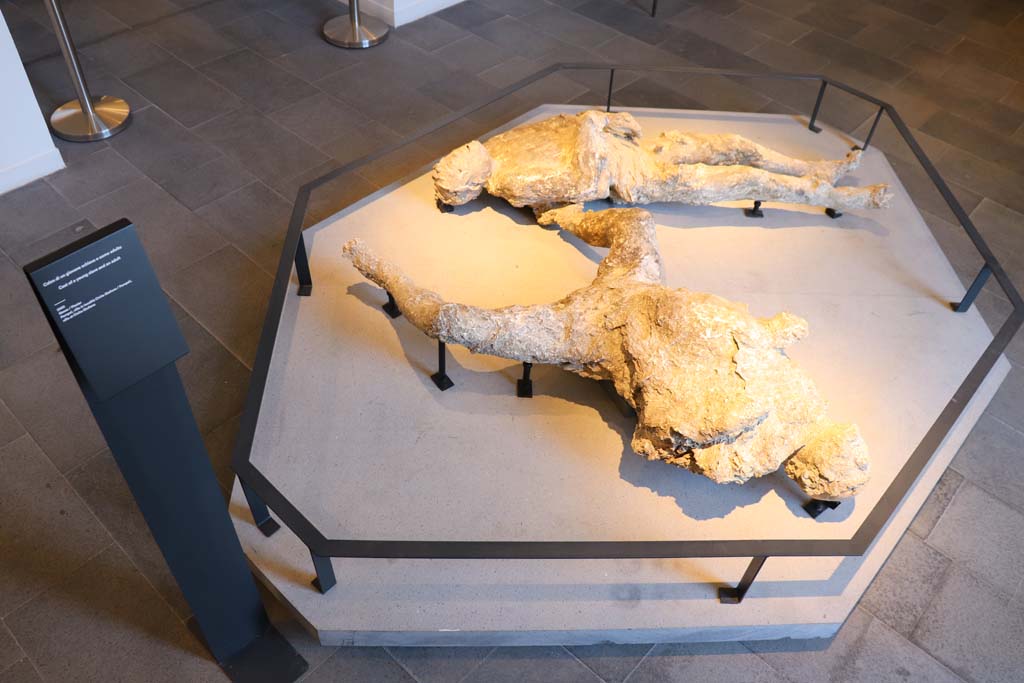 Victims 92 and 93. February 2021. Plaster-cast of victim 92, a young slave (rear) and victim 93, an adult man (front), from Cività Giuliana, in Pompeii Antiquarium.
Photo courtesy of Fabien Bièvre-Perrin (CC BY-NC-SA).
Vittime 92 e 93. Febbraio 2021. Calco in gesso della vittima 92, un giovane schiavo (dietro) e della vittima 93, un uomo adulto (davanti), da Cività Giuliana, all'Antiquarium di Pompei. 
Foto per gentile concessione di Fabien Bièvre-Perrin (CC BY-NC-SA). 
VIII.1.4 Pompei. Febbraio 2021. Calco in gesso della vittima 92, un giovane schiavo (dietro) e della vittima 93, un uomo adulto (davanti), da Cività Giuliana, all'Antiquarium di Pompei. 
Foto per gentile concessione di Fabien Bièvre-Perrin (CC BY-NC-SA).