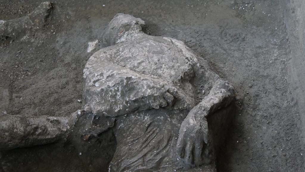 Victim 92. November 2020. First victim.
Studies revealed that the first victim, with his head tilted, and his teeth and skull visible, was a young man, between 18 and 23/25 years of age, who was approximately 156cm tall. The presence of a series of vertebral compressions, unusual in a young man of his age, would suggest that he had carried out hard manual work. He could therefore have been a slave. He wore a short tunic, of which the imprint of the drapery is clearly visible on the lower part of the belly, with thick rich folds and traces of heavy fabric, of a consistency which suggests that it was made of wool fibres. Several fragments of white plaster were found next to the face, and fragments of the wall preparation layer of the room were found alongside the legs.
Vittima 92. Novembre 2020. La prima vittima
La prima vittima, con il capo reclinato, denti e ossa del cranio visibili, dai primi studi risulta essere un giovane, fra i 18 e i 23/25 anni, alto circa 156 cm. La presenza di una serie di schiacciamenti vertebrali, inusuali per la giovane età dell’individuo, fa ipotizzare anche lo svolgimento di lavori pesanti. Poteva dunque trattarsi di uno schiavo.  Indossava una tunica corta, di cui è ben visibile l’impronta del panneggio sulla parte bassa del ventre, con ricche e spesse pieghe, la cui consistenza assieme alle tracce di tessuto pesante, fanno ipotizzare che si trattasse di fibre di lana. Accanto al volto sono presenti alcuni frammenti di intonaco bianco e lungo le gambe frammenti della preparazione parietale del vano.
Photograph © Parco Archeologico di Pompei.
