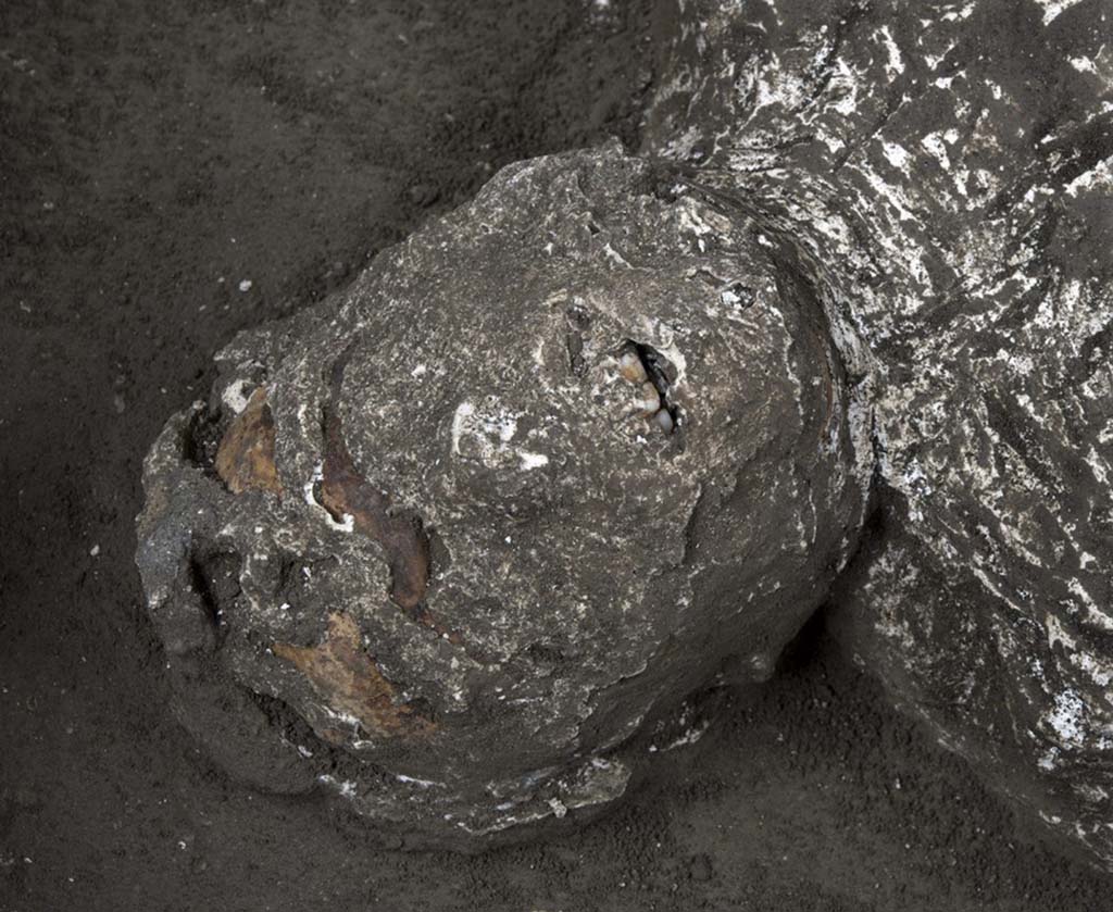 November 2020. Victim 92, with his head tilted, and his teeth and skull visible, was a young man, between 18 and 23/25 years of age.
Novembre 2020. Vittima 92, con il capo reclinato, denti e ossa del cranio visibili, era un giovane, fra i 18 e i 23/25 anni.
Photograph © Parco Archeologico di Pompei.