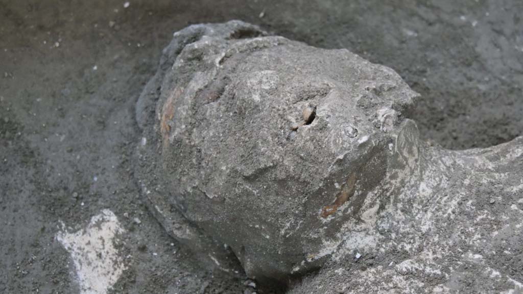 November 2020. First victim.
Several fragments of white plaster were found next to the face, and fragments of the wall preparation layer of the room were found alongside the legs.
Novembre 2020. La prima vittima
Accanto al volto sono presenti alcuni frammenti di intonaco bianco e lungo le gambe frammenti della preparazione parietale del vano.
Photograph © Parco Archeologico di Pompei.