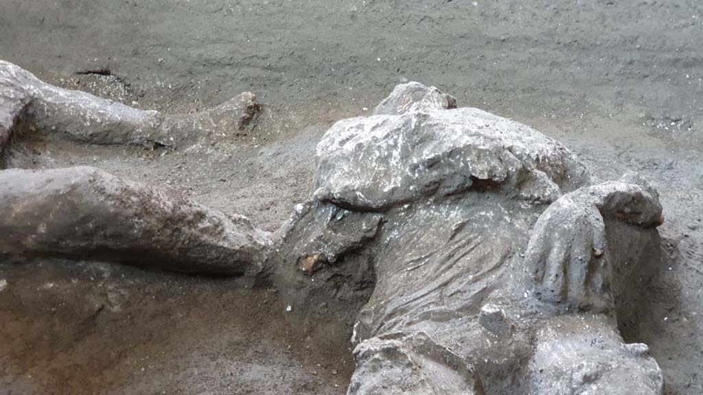 November 2020. Victim 92, upper torso.
The presence of a series of vertebral compressions, unusual in a young man of his age, would suggest that he had carried out hard manual work. He could therefore have been a slave. 
Novembre 2020. Vittima 92, torso superiore.
La presenza di una serie di schiacciamenti vertebrali, inusuali per la giovane età dell’individuo, fa ipotizzare anche lo svolgimento di lavori pesanti. Poteva dunque trattarsi di uno schiavo.  
Photograph © Parco Archeologico di Pompei.