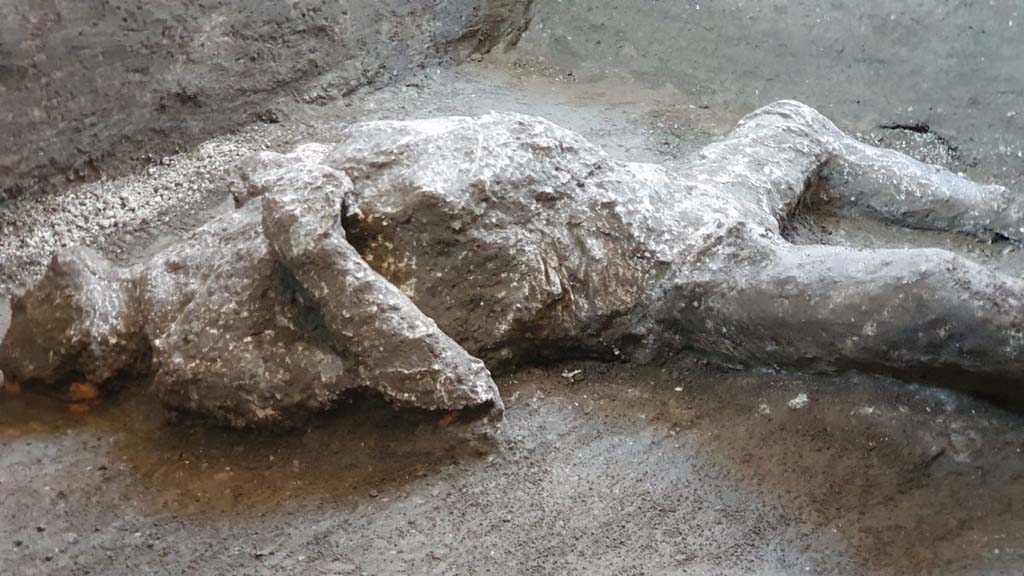 November 2020. Victim 93.
This victim wore more intricate clothing compared to the other, as he wore a tunic and mantle. Beneath the victim’s neck and close to his sternum, where the fabric formed clear and heavy folds, imprints of the fabric are preserved that are clearly visible and indicate a woollen mantle which stopped at the left shoulder. At the position of the upper left arm there is also an imprint of a different fabric pertaining to a tunic, which would seem to have extended to the pelvic area. Fragments of white plaster were found close to the face of the victim, which had probably collapsed from the upper floor.
Novembre 2020. Vittima 93.
Questa vittima presenta un abbigliamento più articolato rispetto all’altra, in quanto indossa una tunica e un mantello. Sotto il collo della vittima e in prossimità dello sterno, dove la stoffa crea evidenti e pesanti pieghe, si conservano infatti impronte di tessuto ben visibili relative ad un mantello in lana che era fermato sulla spalla sinistra. In corrispondenza della parte superiore del braccio sinistro si rinviene anche l’impronta di un tessuto diverso pertinente ad una tunica, che sembrerebbe essere lunga fino alla zona pelvica. Vicino al volto della vittima vi sono frammenti di intonaco bianco, probabilmente crollati dal piano superiore.
Photograph © Parco Archeologico di Pompei.