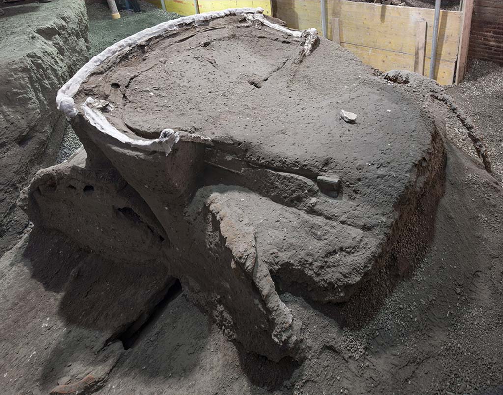 Cività Giuliana. February 2021. Archaeobotanical analyses were also conducted in this instance, which showed that the wood used to create the side structures and rear of the chariot, to which the bronze decorative elements were fixed with small nails and clamps, was beech, which is particularly suitable for this kind of production.
Cività Giuliana. Febbraio 2021. Anche in questo caso si sono svolte analisi archeobotaniche che hanno mostrato come il legno della strutture del carro e delle ruote sia frassino, elastico e leggero- come riportato da Plinio- mentre gli elementi decorativi in bronzo erano sostenuti da faggio, particolarmente adatto a questo tipo di lavorazione.
Photograph © Parco Archeologico di Pompei.