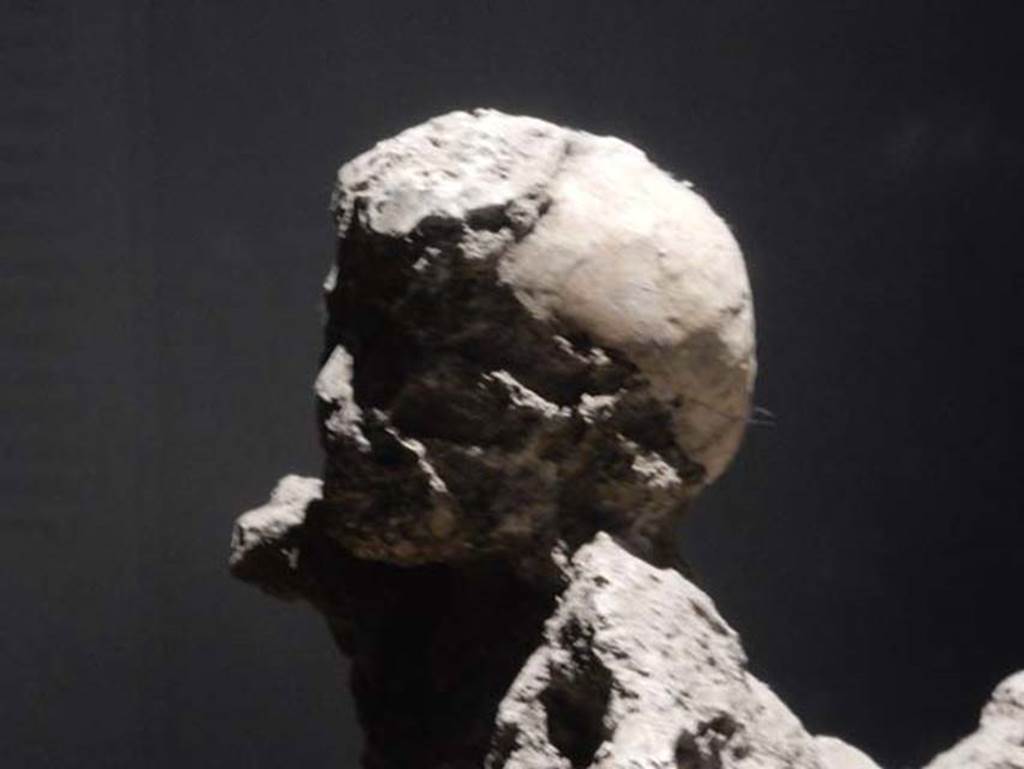 VI.17.42, Pompeii. Victim 51. May 2018. Detail of head of child, found in the corridor leading to the garden area. 
Photo courtesy of Buzz Ferebee.