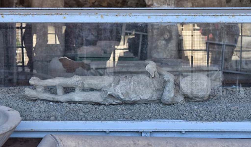 VII.7.29 Pompeii. Victim 53. April 2018. Plaster cast of a child found in a corridor of a lower level of the House of the Golden Bracelet, VI.17.42.
Photo courtesy of Ian Lycett-King. Use is subject to Creative Commons Attribution-NonCommercial License v.4 International.