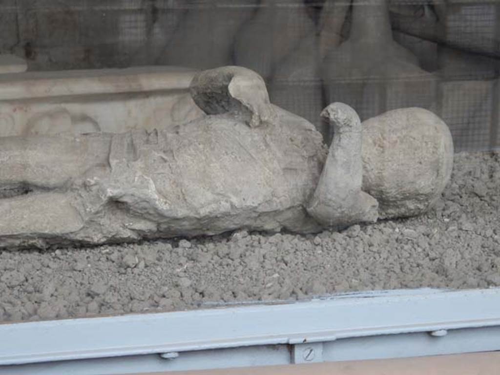 VII.7.29 Pompeii. Victim 53. May 2015. Detail of plaster cast of a child found in lower corridor of VI.17.42.
Photo courtesy of Buzz Ferebee.