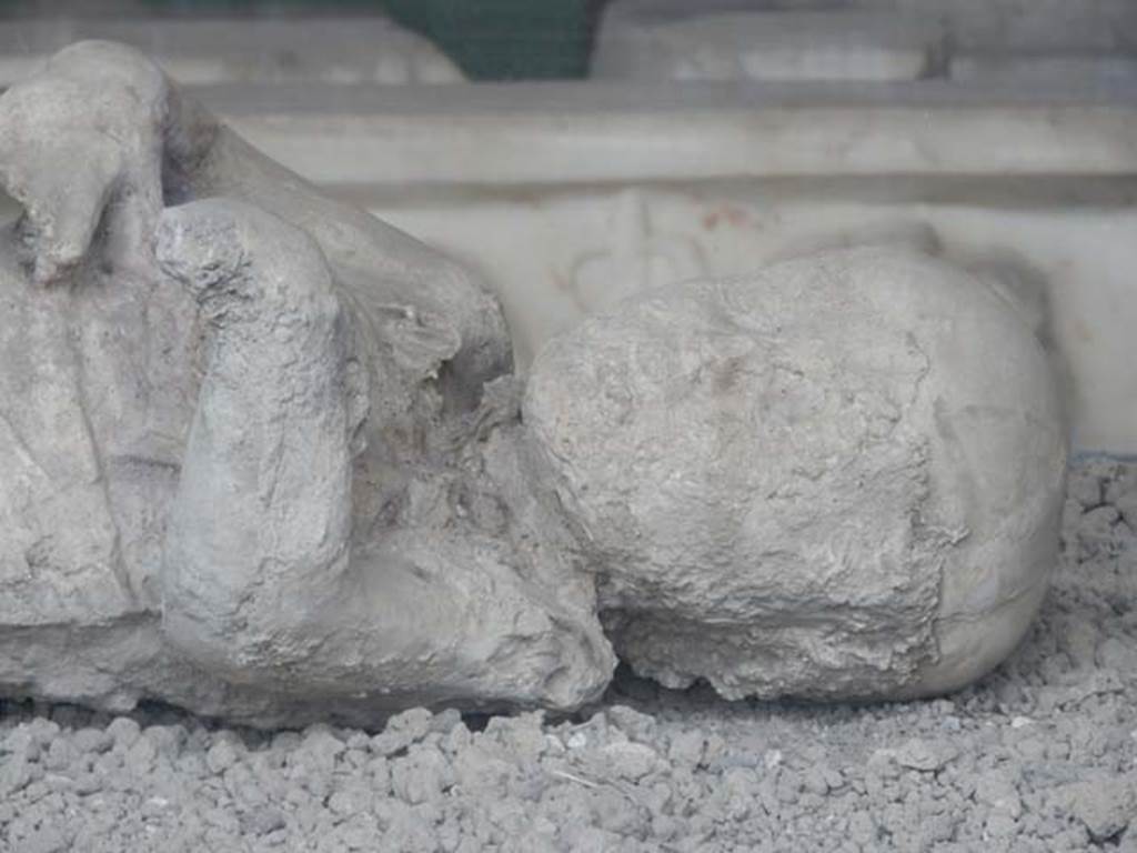 VII.7.29 Pompeii. Victim 53. May 2015. Detail of head of child found in VI.17.42. Photo courtesy of Buzz Ferebee.