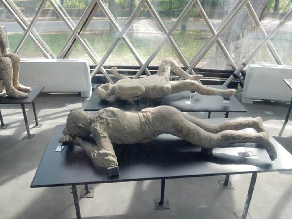 Plaster-casts in display/exhibition kiosk near amphitheatre entrance. May 2018. 
At the rear of the young woman plaster-cast numbered 10, is the cast of the fourth victim, number 20, from the garden of I.6.2. 
Photo courtesy of Buzz Ferebee.