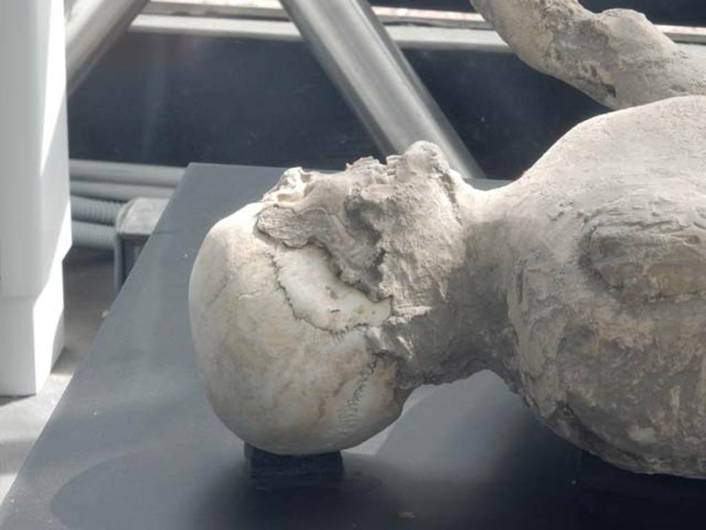 Plaster-cast in display/exhibition kiosk near amphitheatre entrance. May 2018. 
Detail of the head of the plaster-cast of victim 20 from the garden of I.6.2. Photo courtesy of Buzz Ferebee.