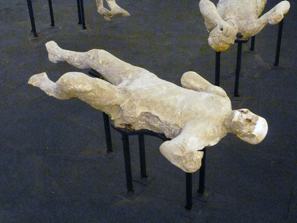 I.6.2 Pompeii. September 2015. Exhibit from the Summer 2015 exhibition in the amphitheatre.
Plaster-cast of victim number 20 found to the north of the other group of two females in the garden area.