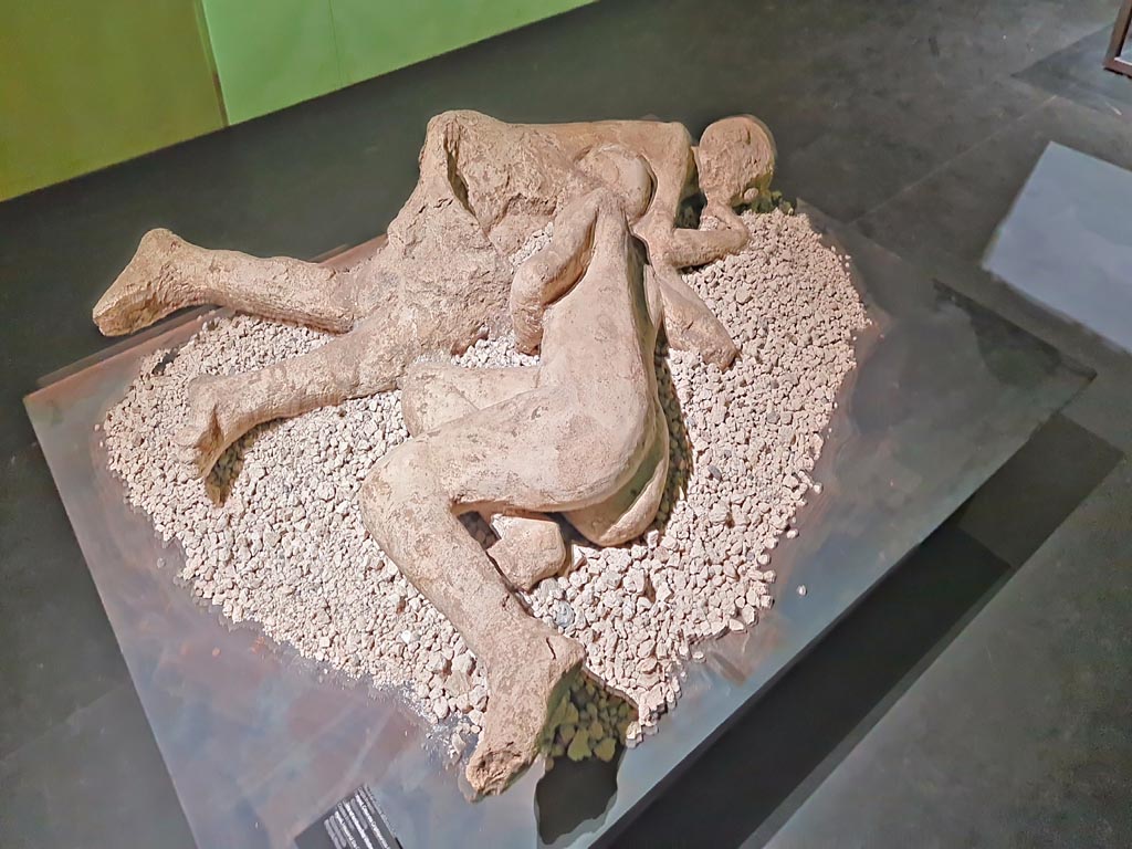 I.6.2 Pompeii. March 2024. Right hand side view of the cast of victims 21 and 22. Photo courtesy of Giuseppe Ciaramella.
On display in exhibition in Palaestra entitled – “L’altra Pompei, vite comuni all’ombra del Vesuvio”.