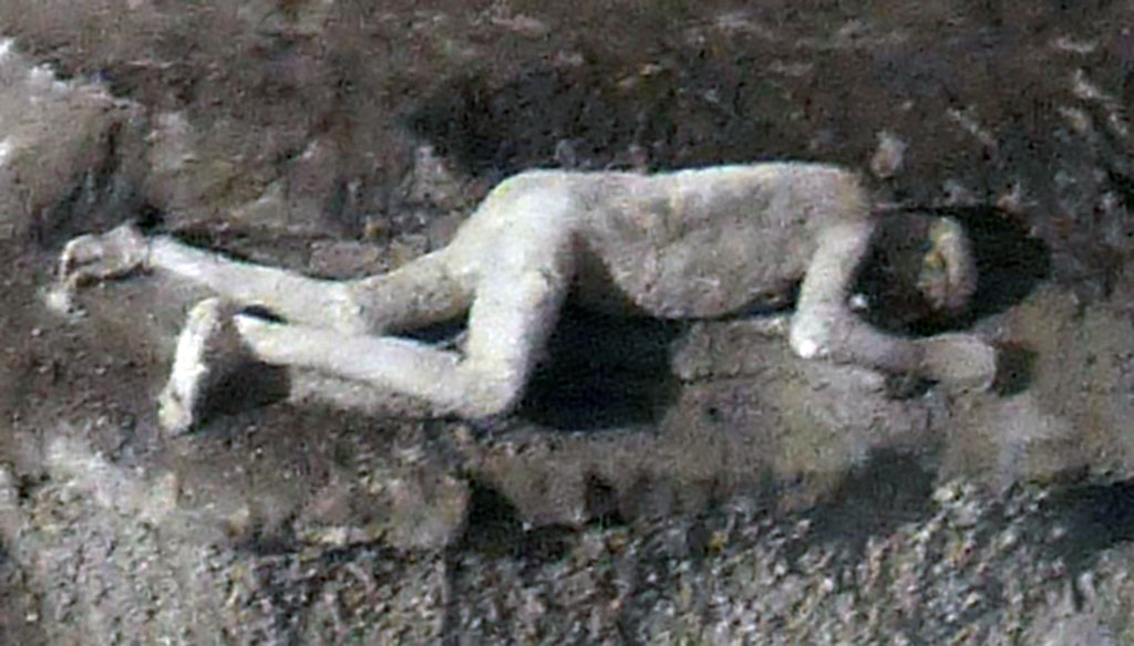 I.6.2 Pompeii. 1914. Plaster-cast of third victim, number 23, a young man/boy, photographed in the garden at time of excavation.
According to Spinazzola, he advanced his companions of misfortune a few steps (no more than 90 cm). 
He was a young boy in about fifteen years, with agile and delicate limbs, with elegant and fine ends. 
Death had caught him, while, first of all, he hurried south-west to get to the nearest city gate, that of Stabia, both to reach the sea and to flee further to Stabiae or Surrentum. 
The heavy rain of ashes, meanwhile, which had taken his breath away, brought him down, and covered him; and he fell as he was on his way, with his right foot forward. 
His knees were bent, and as he fell, they crossed each other, while the hands, automatically brought in front of the face in falling face downwards, seem to still grasp in the hot bed of ash. 
The body does not show shock, and only the stomach appears a little swollen. 
The hands, which are contracted, have short fingers: the joints are very thin.
The feet are small, which, for the first time, have preserved the image of an ancient shoe, as it was in the costume of the 1st century of the Empire.
See Notizie degli Scavi di Antichità, 1914, p. 367-8, fig. 2.
According to Osanna, Capurso, e Masseroli, this victim was a male aged over 20.
See Osanna, N., Capurso, A., e Masseroli, S. M., 2021. I Calchi di Pompei da Giuseppe Fiorelli ad oggi: Studi e Ricerche del PAP 46, p. 371-3.