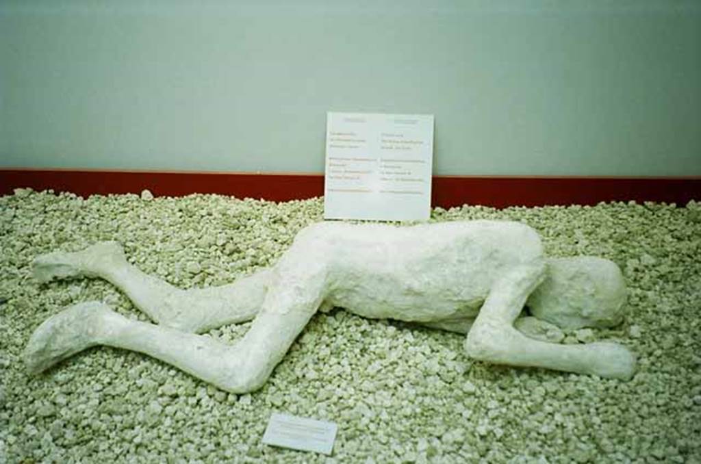 Victim number 23. Piazza Anfiteatro exhibition building. May 2010. Exhibit from the Pompei e il Vesuvio exhibition. Plaster cast of a young man found in the garden of the House of the Cryptoporticus.  Traces of leather shoes can be seen on the feet of this young man, who was about 15 years old. Iron nails that reinforced the sole of the shoe were also found in the plaster. Photo courtesy of Rick Bauer.