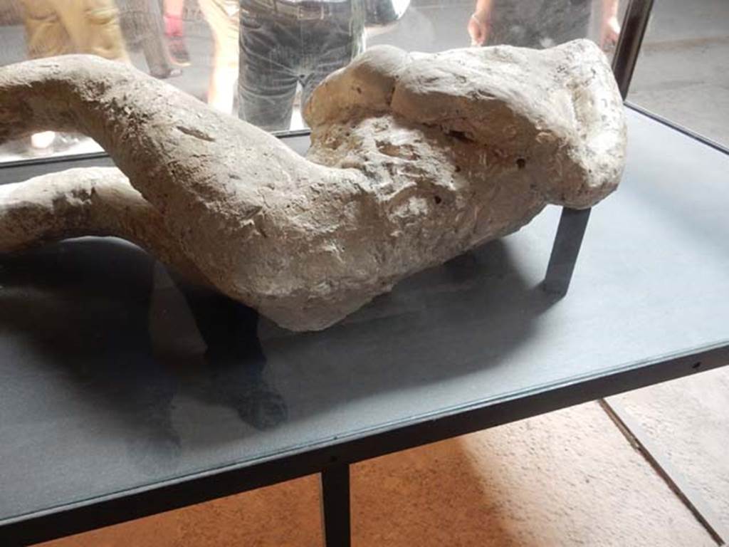 Villa of Mysteries, Pompeii. May 2015. Victim 26. Upper torso of body-cast. Photo courtesy of Buzz Ferebee.
There are folds of clothing at the abdomen.