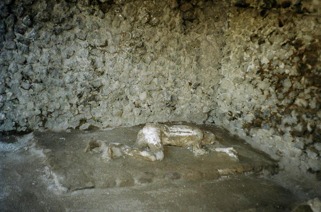 Victim 31. Pompeii, outside Porta Nocera. July 2010. Plaster cast of a second fleeing victim found 16th March 1957. 
Photo courtesy of Rick Bauer.