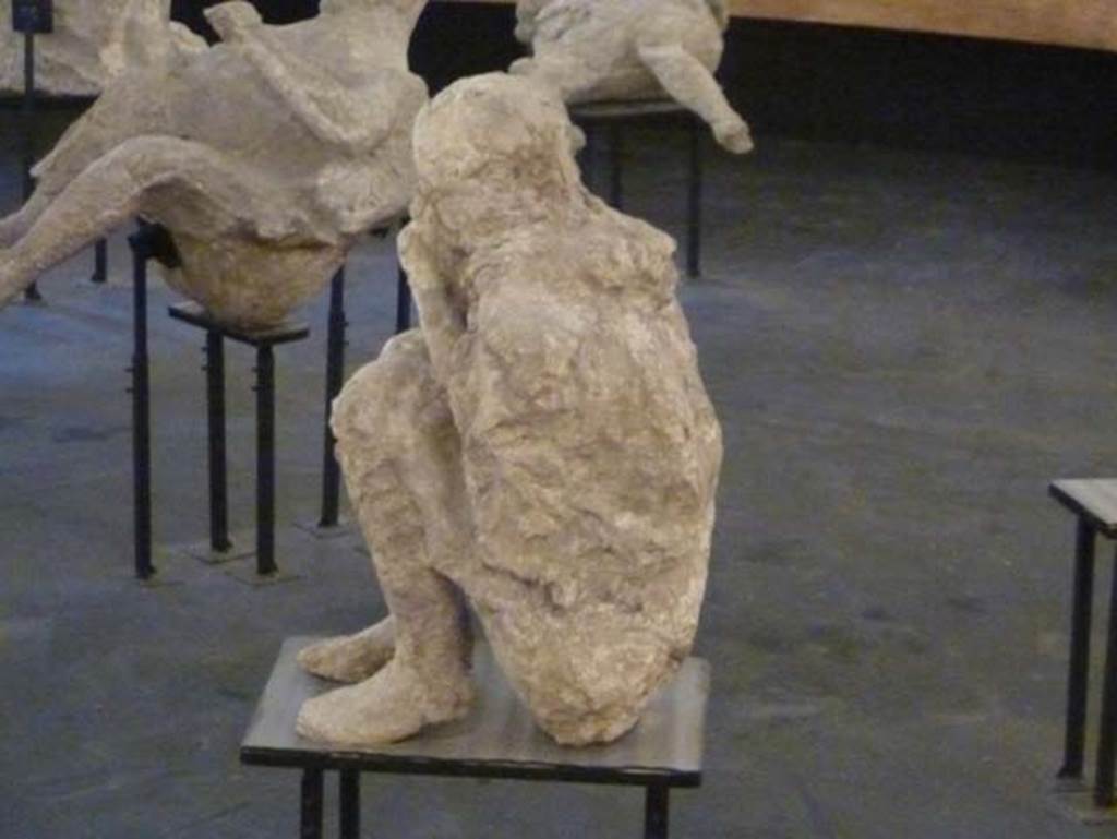 Victim 28. From II.7.1 Pompeii Palaestra. September 2015. 
Photographed on display as an exhibit in the Summer 2015 exhibition in the amphitheatre.