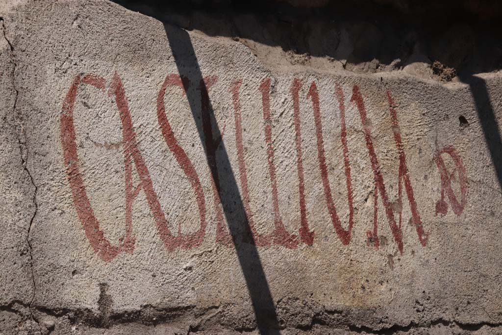 V.8, Pompeii. September 2021. 
Looking north towards painted CASELLIUM graffiti on west end of south wall near the street shrine, on north side of Vicolo delle Nozze d’Argento. 
Photo courtesy of Klaus Heese.