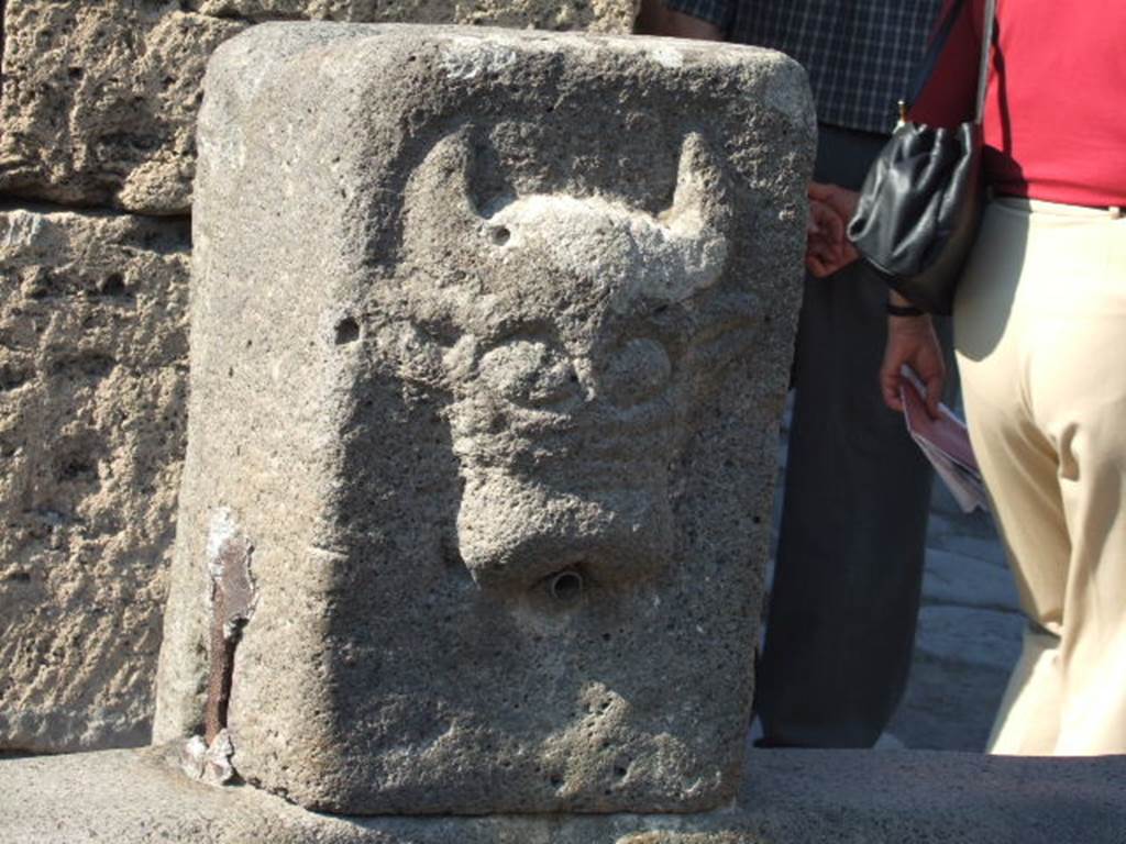 Fountain outside VI.13.7. September 2005.  Relief of head of bull or ox.