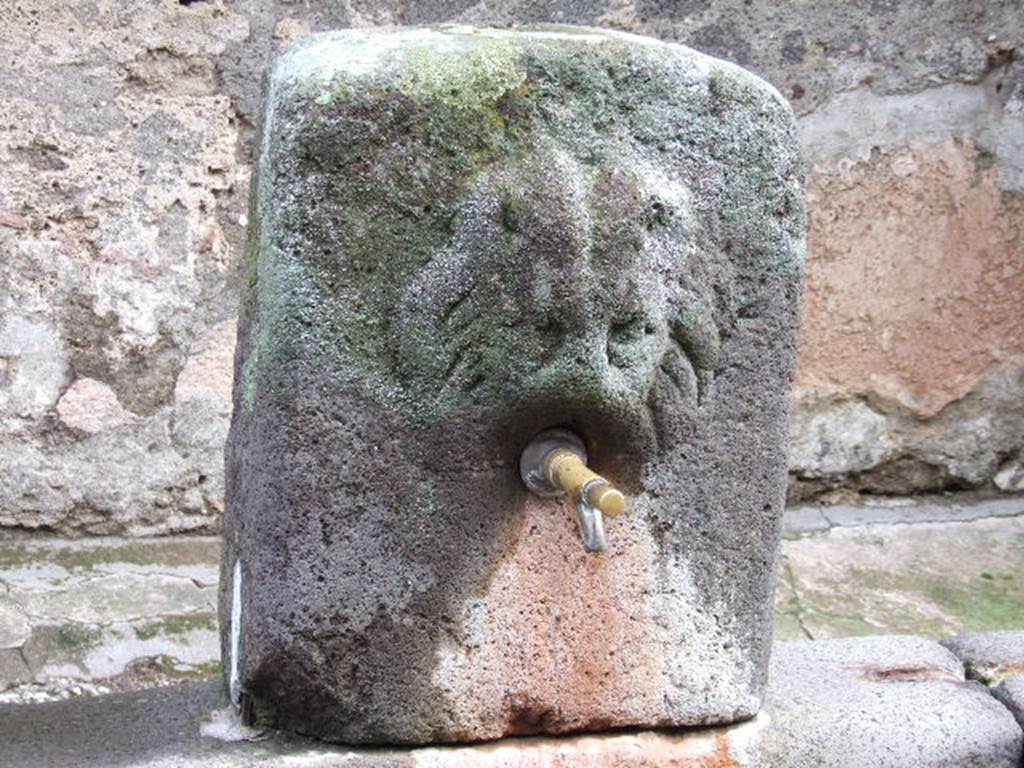 Fountain outside VI.16.28 on Vicolo dei Vettii. December 2005. 
According to Eschebach this is a relief of Oceanus or of a lion-griffin.
See Eschebach H. Die öffentlichen Laufbrunnen Pompejis: Pompeii Herculaneum Stabiae. Amici di Pompei, I, 1983, p. 13.
