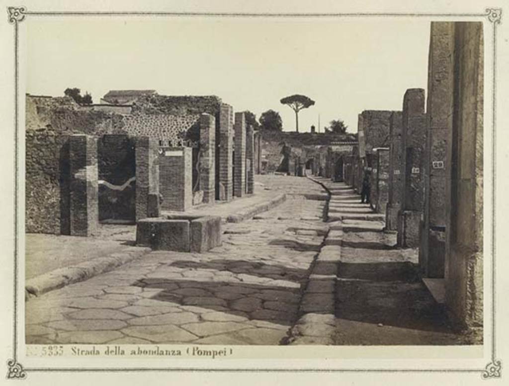 Fountain outside VII.14.13 and VII.14.14 on Via dell’Abbondanza. From an album dated February 1874. Looking east from near fountain.
In the distance is the “as-yet-unexcavated” area near Holconius crossroads. Photo courtesy of Rick Bauer.
In the distance is the “as-yet-unexcavated” area near Holconius crossroads. Photo courtesy of Rick Bauer.