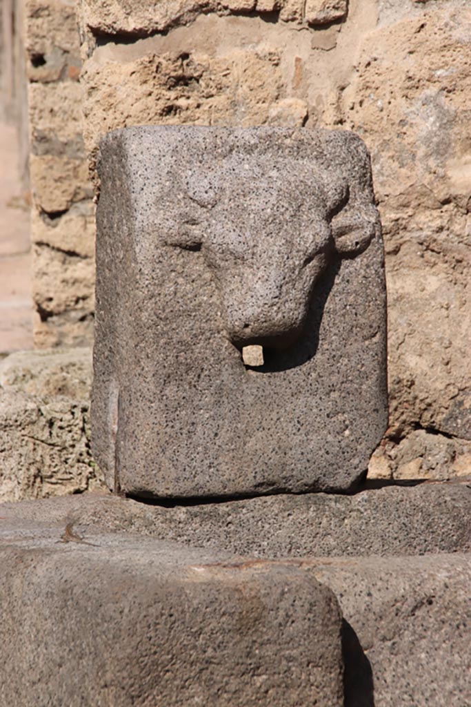Pompeii. Fountain on Vicolo di Tesmo outside IX.7.17. October 2022. 
Relief of bull’s head. Photo courtesy of Klaus Heese.