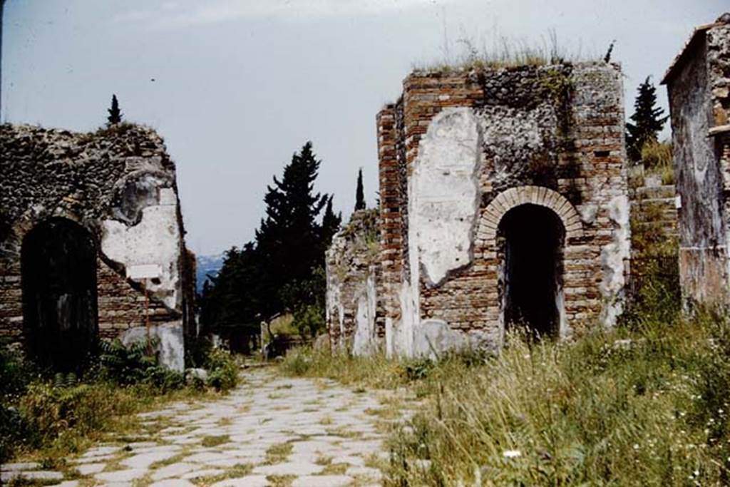 Pompeii Porta Ercolano or Herculaneum Gate. 1961. Looking north from inside the city.
Photo by Stanley A. Jashemski.
Source: The Wilhelmina and Stanley A. Jashemski archive in the University of Maryland Library, Special Collections (See collection page) and made available under the Creative Commons Attribution-Non Commercial License v.4. See Licence and use details.
J61f0611