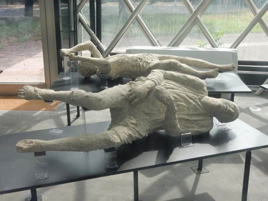 Pompeii. May 2018. General view of two more plaster-casts. Photo courtesy of Buzz Ferebee. 
At the rear is the plaster-cast of Victim known as no.14 or 15.
According to Garcia y Garcia, she was known as victim no.14.
This victim was recovered from near the Porta Stabia on 11th October 1889.
She had fallen face down but was always displayed as if she was found lying on her back.
See Garcia y Garcia, L., 2006. Danni di guerra a Pompei. Rome: L’Erma di Bretschneider. (p. 193-4, Figg. 451-3).
According to Dwyer, described as victim no. 15, this plaster cast was a woman of mature age.
She had been found lying face down on her stomach and half-clothed, her arms stretched before her.
See Dwyer, E., 2010. Pompeii’s Living Statues. Univ. of Michigan Press: (p.106-7)  
In the foreground is the plaster-cast known as Victim 16, the heavily-clothed man.
According to Notizie degli Scavi, (1890, P.128) the body of a man wrapped in his cloak and lying on his left side was found on 12th March 1890 in the excavations outside of the Stabian Gate. It was of a young man, of slender figure, lying on his left side, wound up in his cloak and wearing short pants which exposed his legs from above the knee. On his right foot could be clearly seen the sandal he was wearing.
See Dwyer, E., 2010. Pompeii’s Living Statues. Ann Arbor: Univ of Michigan Press. (p.107-8).